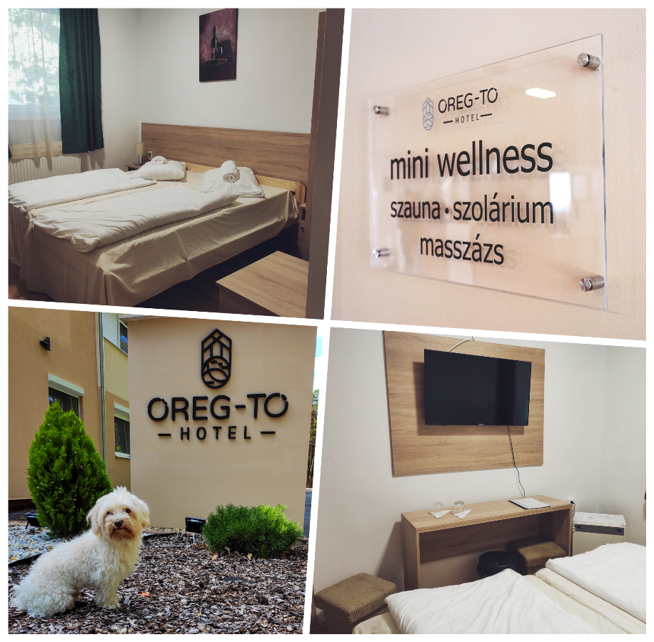 Oereg-To Hotel Es Rendezvenyter Тата Екстер'єр фото